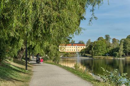 Bild av närområdet