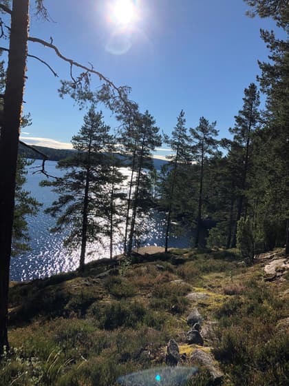 Balkong eller utsiktsbild