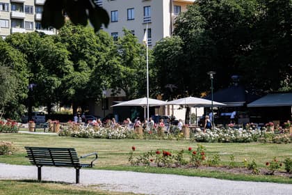 Bild av närområdet