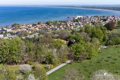 Bild av närområdet