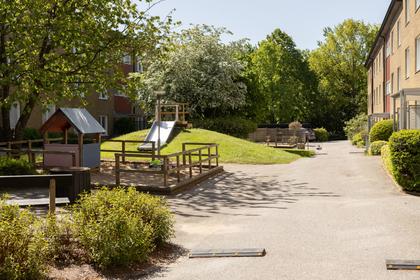 Bild av närområdet