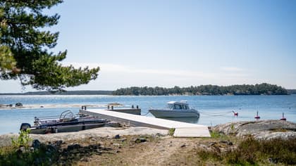 Bild av närområdet