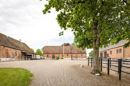 Bild av närområdet