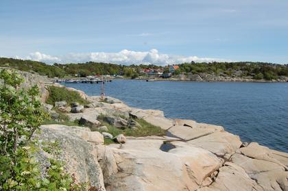 Bild av närområdet