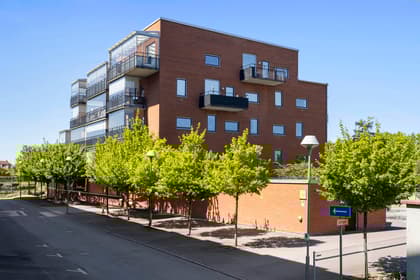 Bild av närområdet