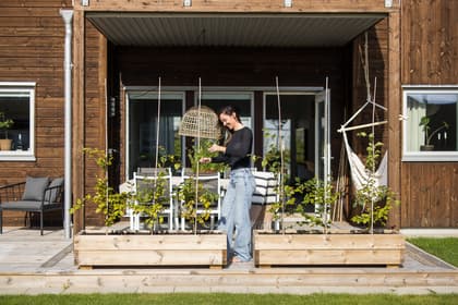 Bild av närområdet