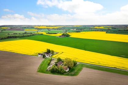 Bild av närområdet