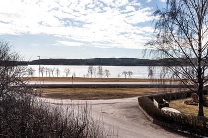 Bild av närområdet