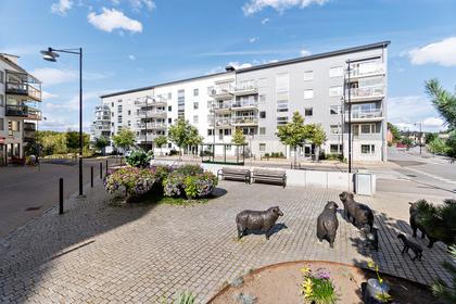 Bild av närområdet