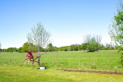 Bild av närområdet