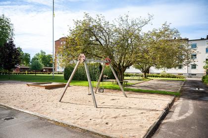 Bild av närområdet