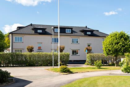 Bild av närområdet