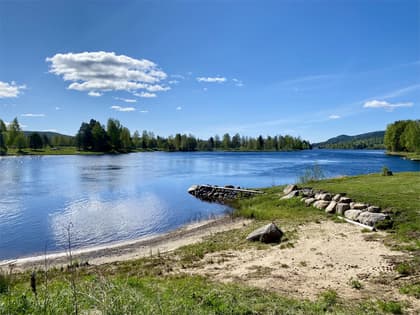 Bild av närområdet