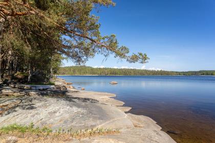 Bild av närområdet