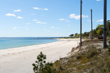 Bild av närområdet