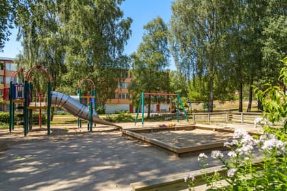 Bild av närområdet