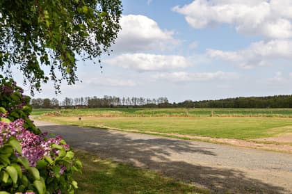 Bild av närområdet