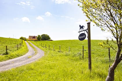 Bild av närområdet