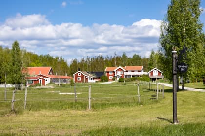 Bild av närområdet