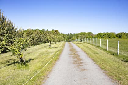 Bild av närområdet