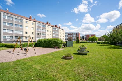 Bild av närområdet