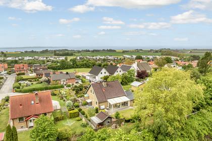 Bild av närområdet