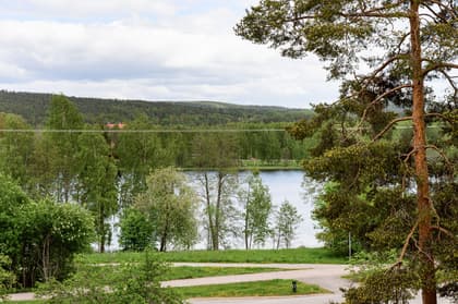 Bild av närområdet