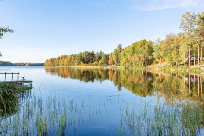 Bild av närområdet