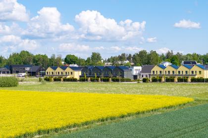 Bild av närområdet