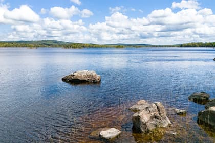 Bild av närområdet