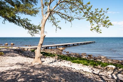 Bild av närområdet