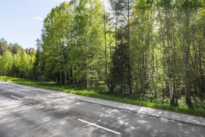 Bild av närområdet