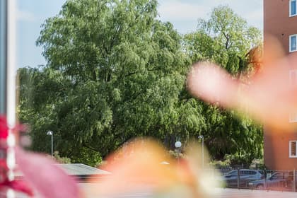 Balkong eller utsiktsbild