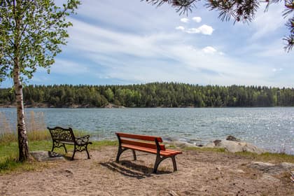 Bild av närområdet