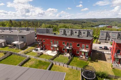 Bild av närområdet