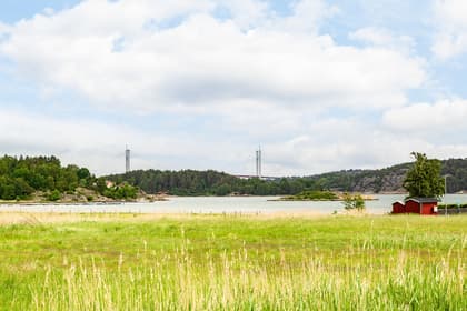 Bild av närområdet