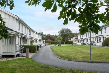 Bild av närområdet