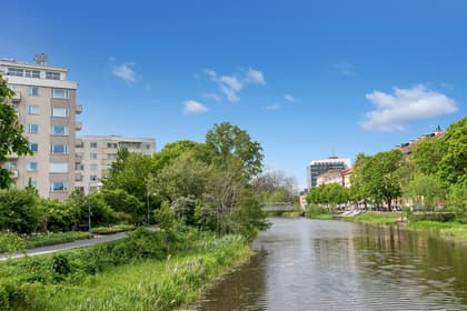 Bild av närområdet