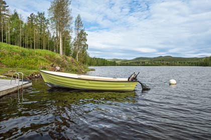 Bild av närområdet