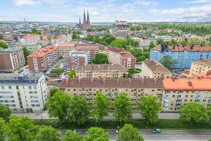 Bild av närområdet