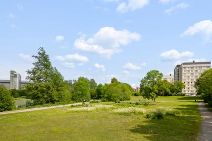 Bild av närområdet