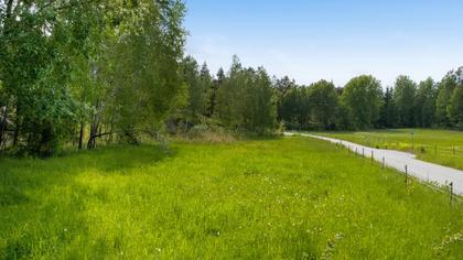 Bild av närområdet