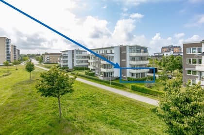 Bild av närområdet