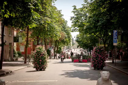 Bild av närområdet