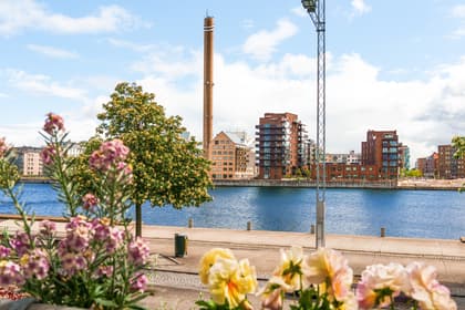 Bild av närområdet