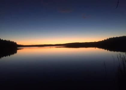 Bild av närområdet