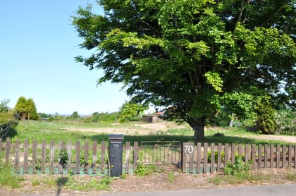 Bild av närområdet