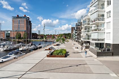 Bild av närområdet