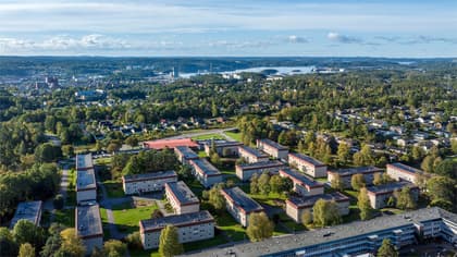 Bild av närområdet