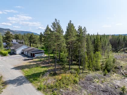 Bild av närområdet